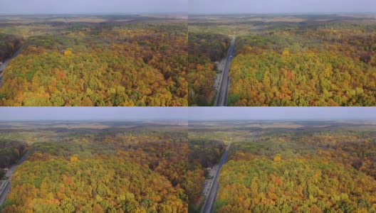 秋天的自然景观。高速公路与移动的汽车在美丽的秋天森林里。在五颜六色的树梢上飞行。摄像机向左移动。高清在线视频素材下载