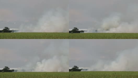 许多烟雾团上方绿色的稻田景色。高清在线视频素材下载