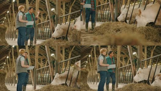 一个女兽医和一个男农夫在牛棚旁边聊天高清在线视频素材下载