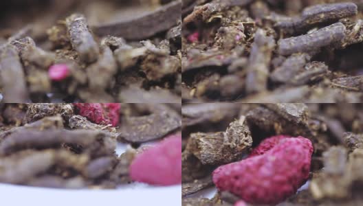 Ivan-tea与树莓高清在线视频素材下载