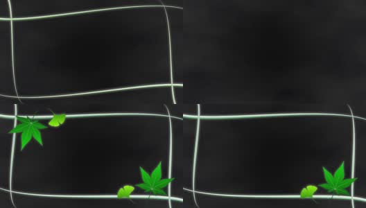 枫白果框架2图案暗色背景高清在线视频素材下载