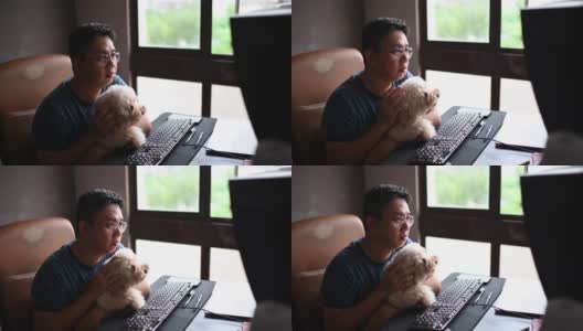 一位亚洲华人中年男子在网上与朋友、家人和商业伙伴聊天、聊天，一边在家里办公室的电脑屏幕上看着摄像头聊天，一边带着他的玩具狮子狗高清在线视频素材下载