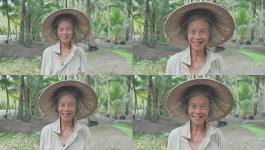 亚洲笑资深女农民在椰子农场工作。年长妇女的肖像微笑相机与快乐的脸。年纪大了还健健康康，带着幸福的观念生活。高清在线视频素材下载