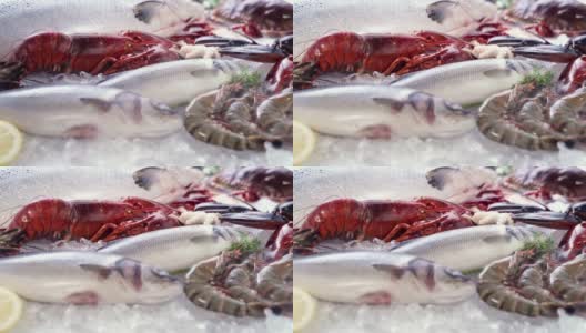 FHD慢镜头:各种豪华新鲜海鲜、龙虾、鲑鱼、鲭鱼、小龙虾、虾、章鱼、贻贝和扇贝，以冰为背景，伴随着流动的冰冻烟雾。新鲜冷冻海鲜冰和零售市场概念。高清在线视频素材下载