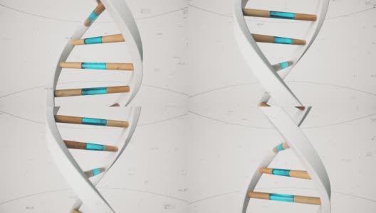 人类DNA的结构是在化合物和数字的背景下旋转的。概念科学技术三维动画无缝循环。高清在线视频素材下载