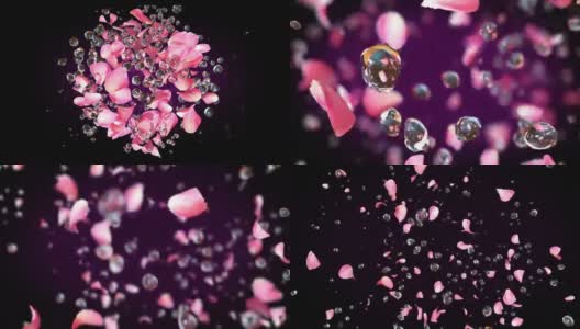 在4K慢镜头中，玫瑰花瓣和水滴一起爆炸高清在线视频素材下载