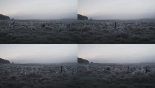 冬天的早晨，白霜覆盖着田野高清在线视频素材下载