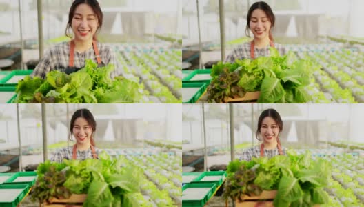 漂亮的年轻亚洲女人工作在温室在她的农场。微笑的年轻英俊的白人男性农民在围裙持有和检查有机农场的质量。农民携带蔬菜盒绿色沙拉高清在线视频素材下载