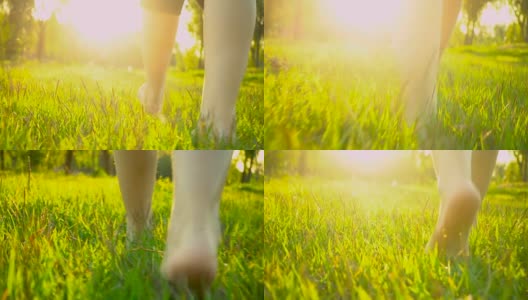 夏天的时候，女人的脚走在草地上高清在线视频素材下载