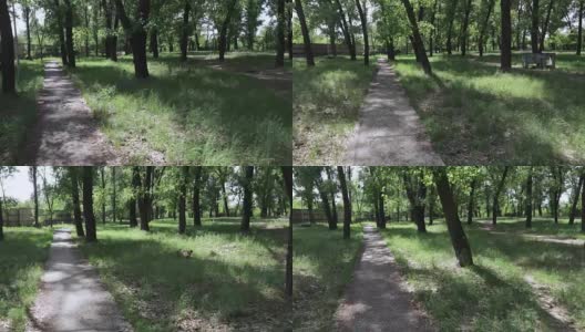 老苏联公园自然高清在线视频素材下载