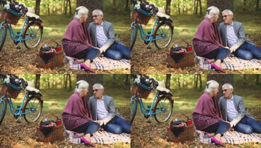 一对浪漫的老夫妇坐在草地上，一边野餐一边放松。高清在线视频素材下载