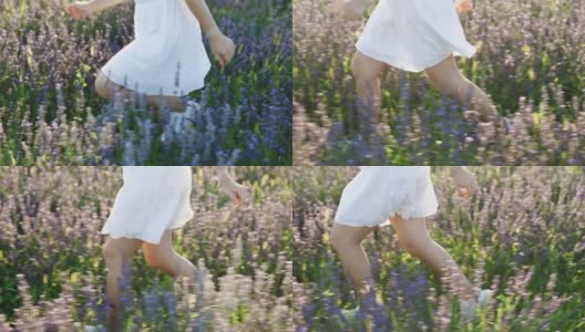 一个不知名的女孩，穿着白色裙子，跑过薰衣草田。无名女孩的双腿在日出的草地上奔跑。妇女喜欢乡下的新鲜空气。女孩在薰衣草花上奔跑高清在线视频素材下载