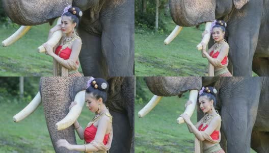亚洲女人与大象，泰国清迈。高清在线视频素材下载