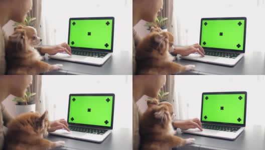 和宠物一起看绿屏的女人高清在线视频素材下载
