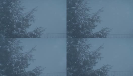 雪花落在白雪覆盖的冷杉树上高清在线视频素材下载