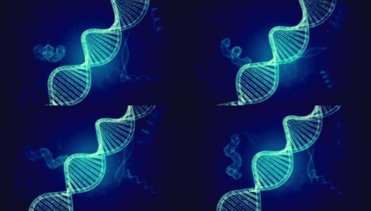 DNA分子结构高清在线视频素材下载