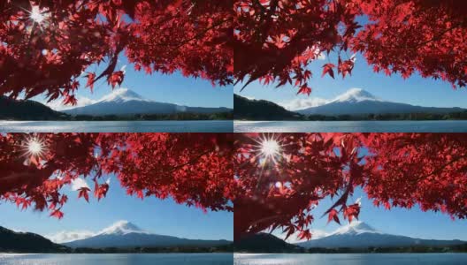从川口湖眺望富士山的秋景高清在线视频素材下载