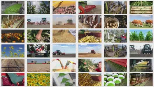 农业-食品生产蒙太奇高清在线视频素材下载