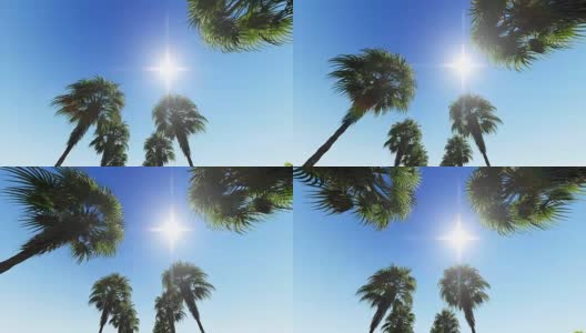在蓝天上移动椰子树顶高清在线视频素材下载