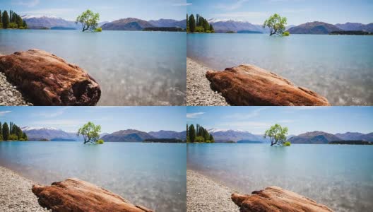 Wanaka树新西兰风景时光流逝高清在线视频素材下载