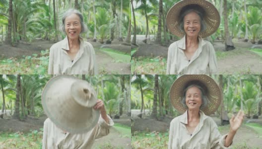 亚洲笑资深女农民在椰子农场工作。年长妇女的肖像微笑相机与快乐的脸。年纪大了还健健康康，带着幸福的观念生活。高清在线视频素材下载