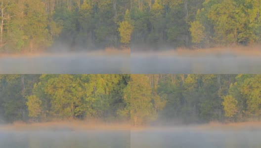 多莉拍摄的雾和雾在湖面上缓慢移动。高清在线视频素材下载