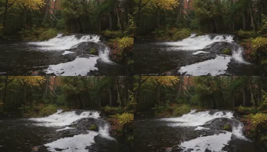 瀑布在秋季森林视频循环高清在线视频素材下载