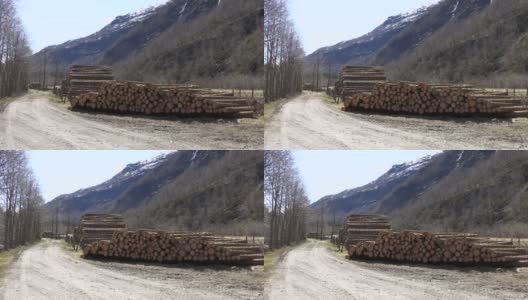 挪威哈丹吉尔山上的一堆原木高清在线视频素材下载
