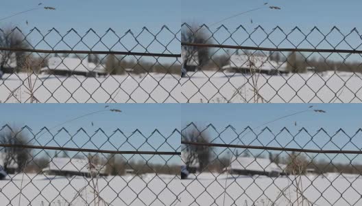 冬天村子里有栅栏网。从右到左的平滑运动高清在线视频素材下载
