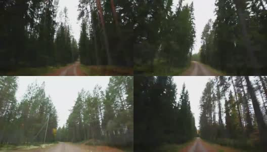 在森林里开车高清在线视频素材下载