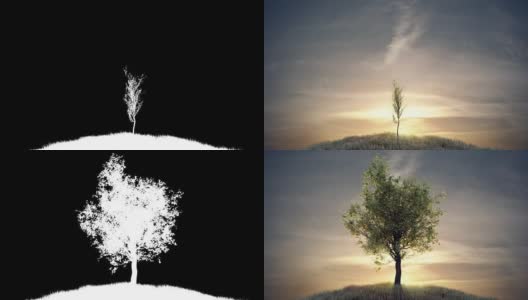 黎明时分，在阳光下种树高清在线视频素材下载