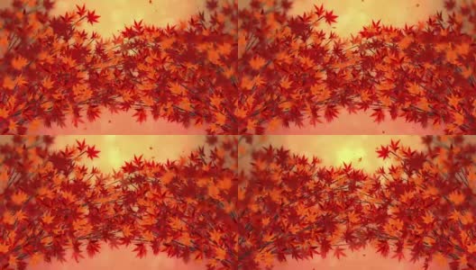 秋叶枫，树枝，美丽的自然秋景，高清在线视频素材下载