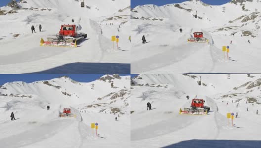 雪猫在冬天的风景高清在线视频素材下载