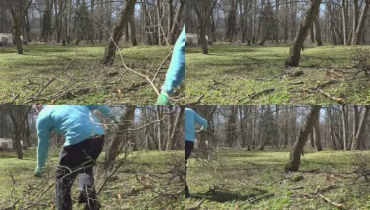 男农民男子摘修剪过的果树树枝并搬运高清在线视频素材下载