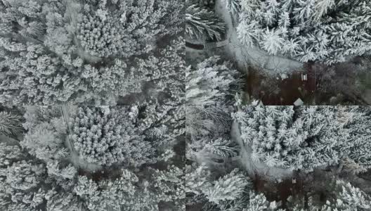 在多雪的冬天，空中降落在树林里高清在线视频素材下载