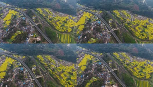 鸟瞰图的中国乡村景观在春天油菜种子盛开和村庄在高速公路高清在线视频素材下载