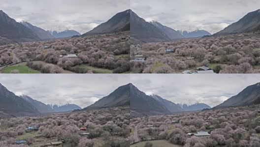 西藏林芝的自然风光高清在线视频素材下载