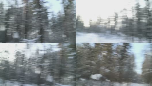 相机在手中快速旋转。冬季森林高清在线视频素材下载