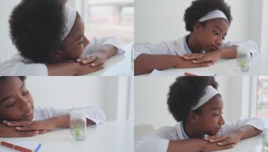 非裔美国少女坐着，看着里面装着一片植物的小玻璃罐高清在线视频素材下载