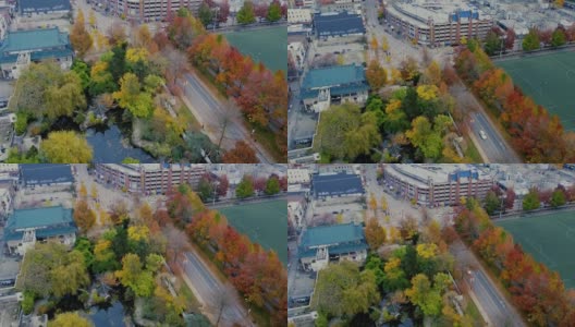 从上往下看温哥华地区的黄色和橙色的树高清在线视频素材下载