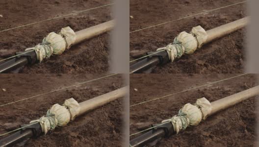 在温室内用水灌溉，采用软管高清在线视频素材下载