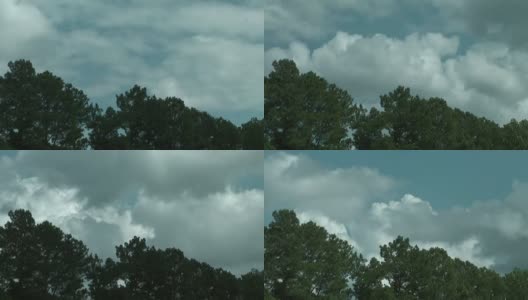云和树的时间流逝高清在线视频素材下载