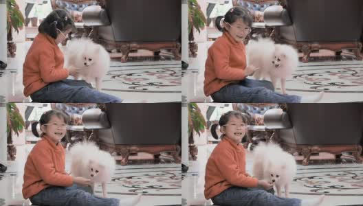 女孩和她的白色小狗高清在线视频素材下载