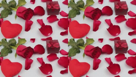 情人节。红玫瑰，白底色，花瓣。情人节快乐。高清在线视频素材下载