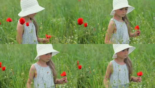 夏日里盛开着野花的少女高清在线视频素材下载