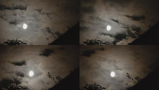 满月在夜空中穿过乌云和树木。间隔拍摄高清在线视频素材下载