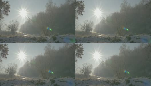 清晨的太阳在公园山Kraljevica在塞尔维亚东部4K 3840X2160超高清视频-太阳在森林清晨4K 2160p超高清视频高清在线视频素材下载