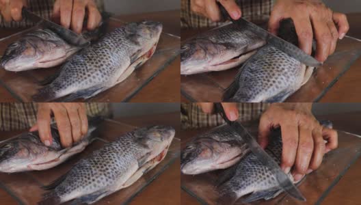 烹饪切鱼做食物高清在线视频素材下载