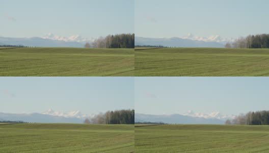 风景拍摄郁郁葱葱的绿色田野和雪山在远处。高清在线视频素材下载