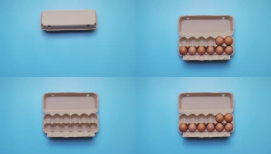 4k定格:一排棕色鸡蛋在纸板箱里移动高清在线视频素材下载